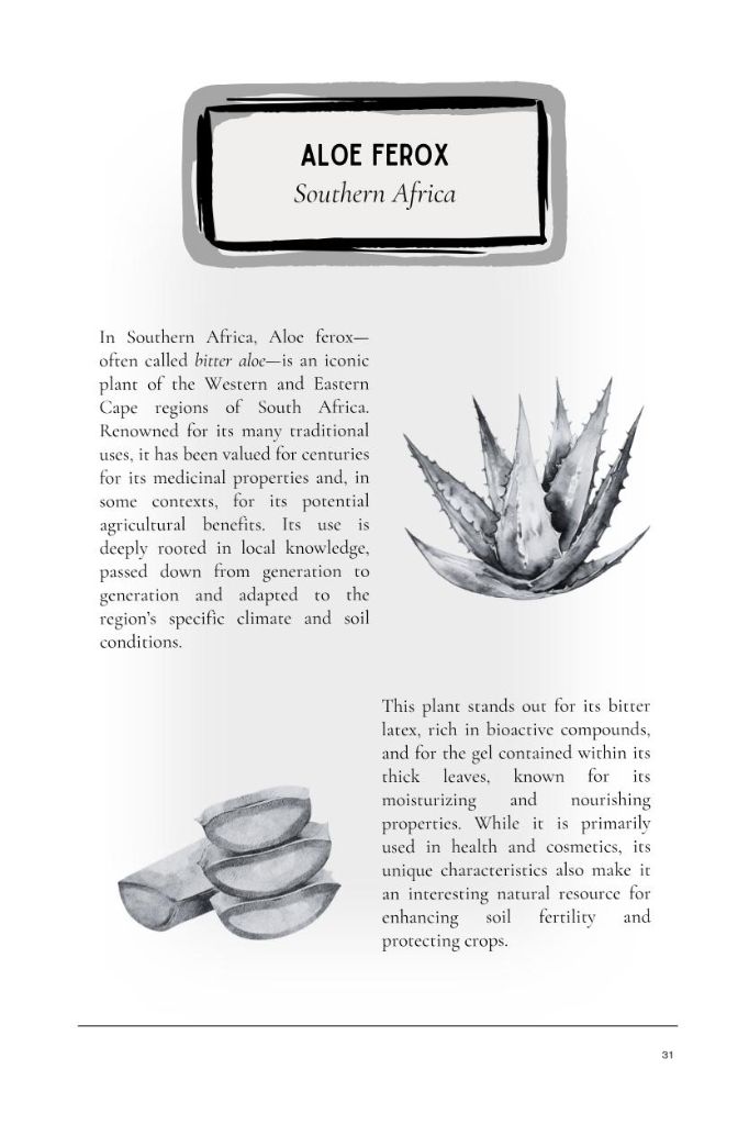 Aloe ferox — guide excerpt