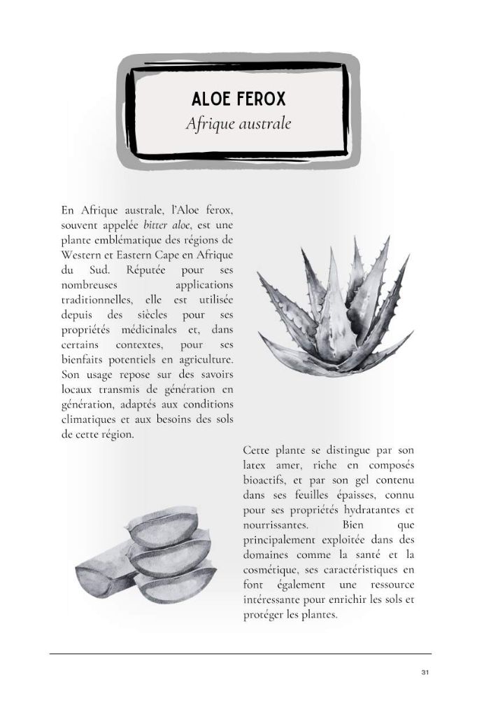 Aloé ferox — extrait du guide