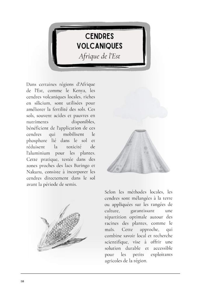 Cendres volcaniques — Afrique de l'Est