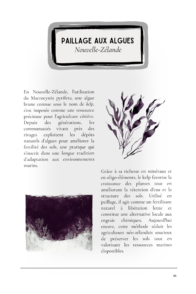 Paillage aux algues kelp — Nouvelle-Zélande