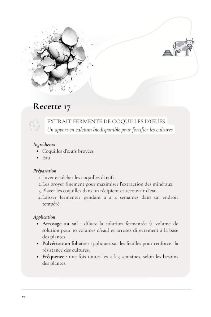 Recette 17 — Extrait fermenté de coquilles d'œufs